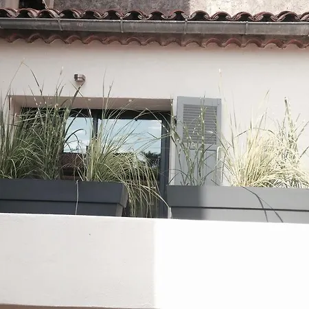 Palm House Apartment Saint-Tropez